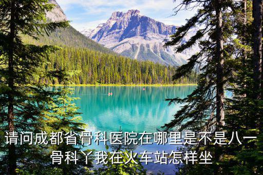 成都市骨科院地址，成都骨科醫院在那