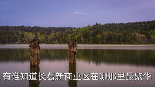 成都市長葛，有誰知道長葛新商業區在哪那里最繁華