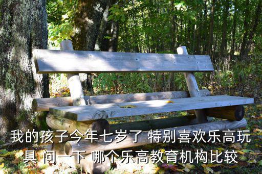 我的孩子今年七歲了 特別喜歡樂高玩具 問一下 哪個(gè)樂高教育機(jī)構(gòu)比較