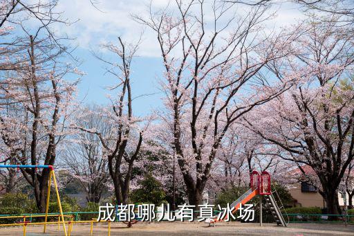 成都哪兒有真冰場