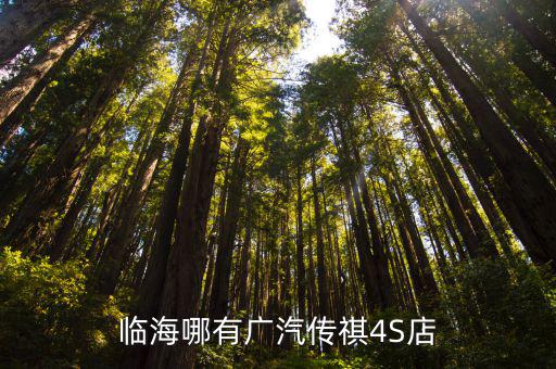天津市北辰區廣汽傳祺4s店，天津有4S店嗎