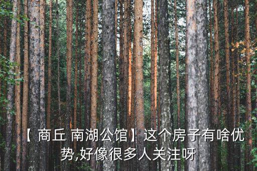 商丘南湖,我的家鄉在河南商丘,商丘這是一個美麗的小鎮