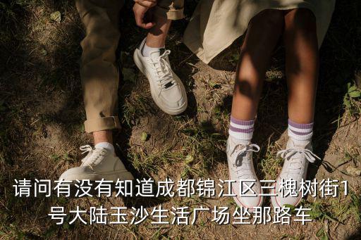 請問有沒有知道成都錦江區三槐樹街1號大陸玉沙生活廣場坐那路車