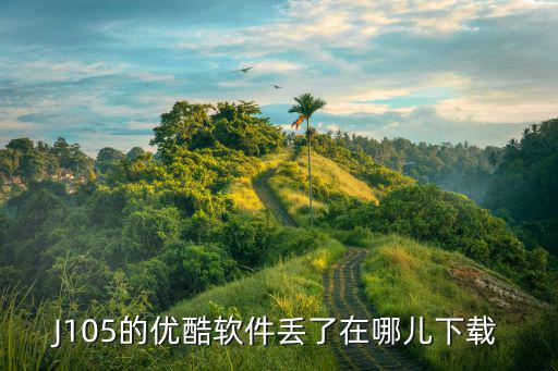 J105的優酷軟件丟了在哪兒下載