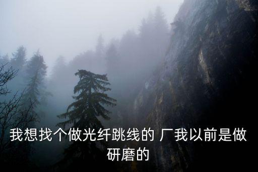 我想找個做光纖跳線的 廠我以前是做研磨的