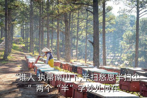 “誰人 執(zhí)帚南山下,半掃愁思半掃塵”兩個(gè)“半”字妙處何在