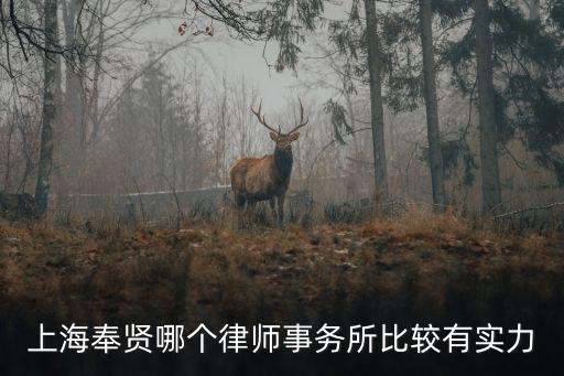 奉賢區律師事務所排名前十名，上海奉賢哪個律師事務所比較有實力