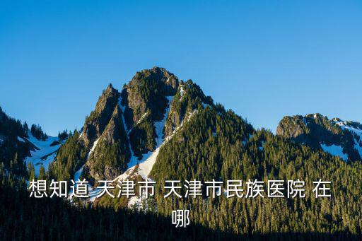 想知道 天津市 天津市民族醫院 在哪