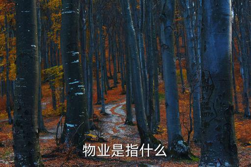 物業是指什么