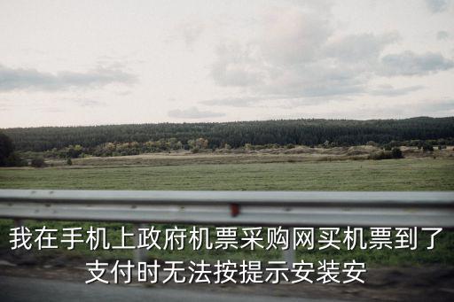 天津市政府采購(gòu)機(jī)票，我在手機(jī)上政府機(jī)票采購(gòu)網(wǎng)買機(jī)票到了支付時(shí)無(wú)法按提示安裝安