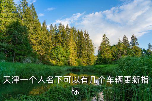 天津一個人名下可以有幾個車輛更新指標