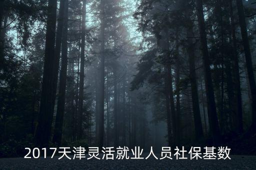 2017年天津市保險最低基數，2017天津靈活就業人員社保基數