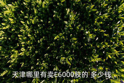 天津哪里有賣E6000膠的 多少錢