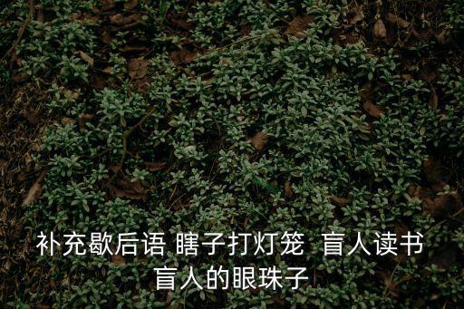補充歇后語 瞎子打燈籠  盲人讀書盲人的眼珠子