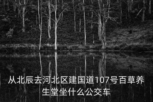 從北辰去河北區建國道107號百草養生堂坐什么公交車