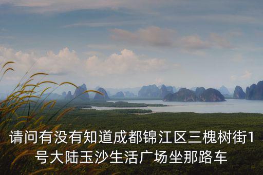 成都市槐樹街文質周末怎么樣，請問有沒有知道成都錦江區三槐樹街1號大陸玉沙生活廣場坐那路車