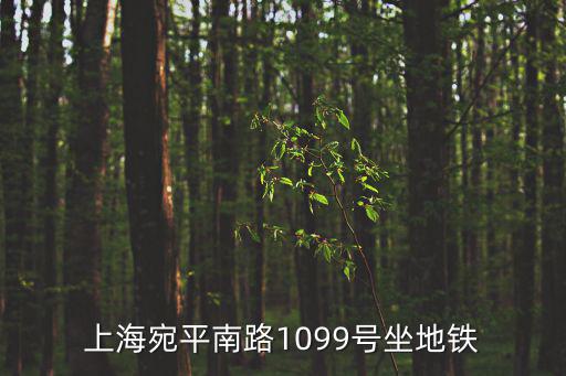 上海宛平南路1099號坐地鐵