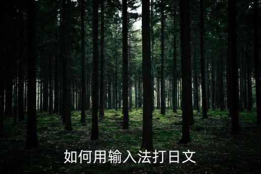怎么打出日語(yǔ)，日語(yǔ)怎么打出來(lái)具體步驟介紹