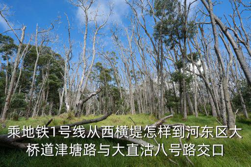 乘地鐵1號線從西橫堤怎樣到河東區大橋道津塘路與大直沽八號路交口