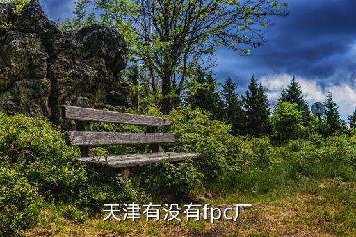 天津有沒有fpc廠