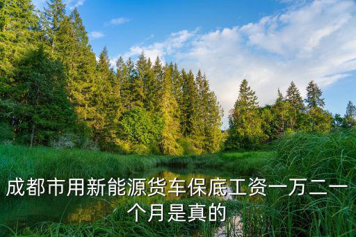 成都市用新能源貨車保底工資一萬(wàn)二一個(gè)月是真的