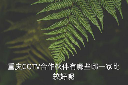 重慶CQTV合作伙伴有哪些哪一家比較好呢