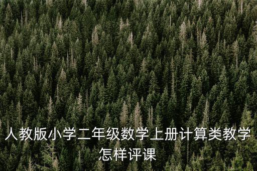 人教版小學二年級數學上冊計算類教學怎樣評課