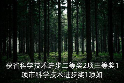 獲省科學技術進步二等獎2項三等獎1項市科學技術進步獎1項如