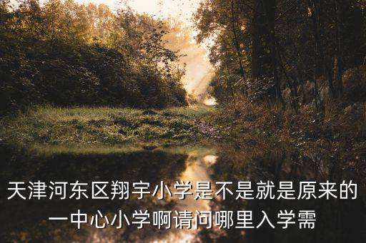 天津市翔宇小學好進嗎，天津梅江這的翔宇小學怎么樣