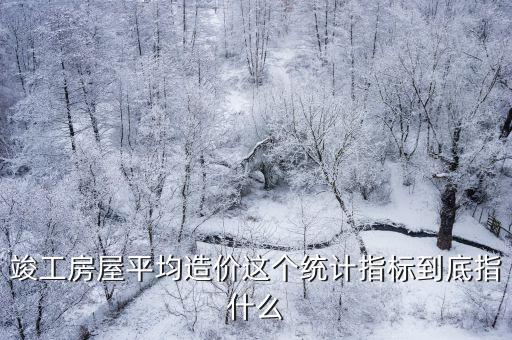 竣工房屋平均造價這個統計指標到底指什么