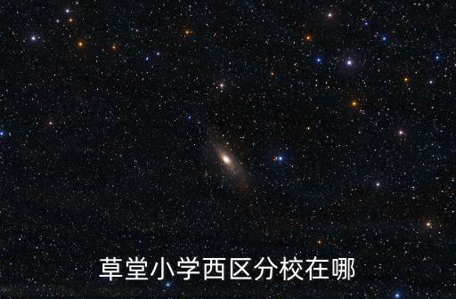 草堂小學西區分校在哪