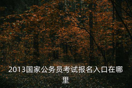 2013國(guó)家公務(wù)員考試報(bào)名入口在哪里