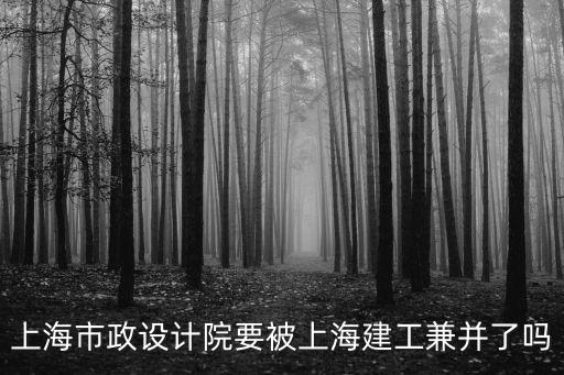 上海市政院屬于建工集團，上海市政設(shè)計院要被上海建工兼并了嗎