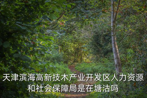 天津濱海高新技木產業開發區人力資源和社會保障局是在塘沽嗎