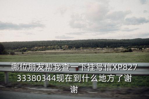 哪位朋友幫我查一下掛號信XP82733380344現在到什么地方了謝謝