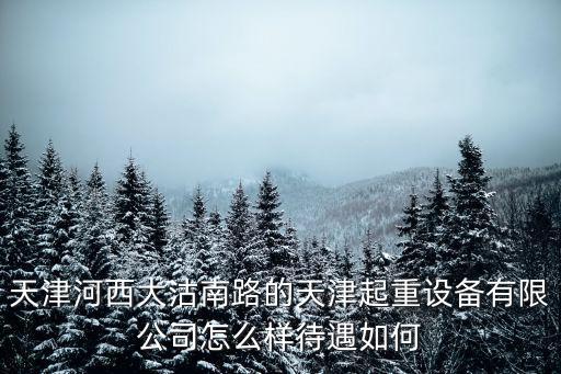 天津河西大沽南路的天津起重設備有限公司怎么樣待遇如何