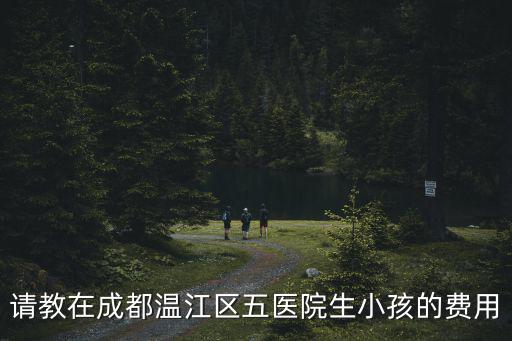 請教在成都溫江區五醫院生小孩的費用