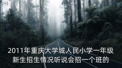2011年重慶大學城人民小學一年級新生招生情況聽說會招一個班的