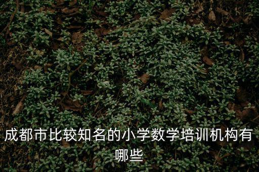 成都市比較知名的小學(xué)數(shù)學(xué)培訓(xùn)機(jī)構(gòu)有哪些