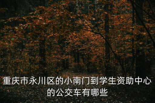 重慶市永川區的小南門到學生資助中心的公交車有哪些
