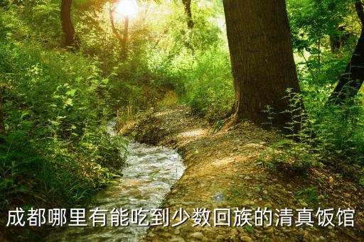 成都市回民小學(xué)旁邊的餐館，成都哪里有能吃到少數(shù)回族的清真飯館