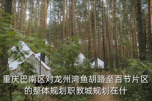 重慶巴南區(qū)對龍州灣魚胡路至百節(jié)片區(qū)的整體規(guī)劃職教城規(guī)劃在什