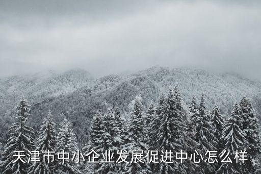 天津市中小企業(yè)發(fā)展促進(jìn)中心怎么樣