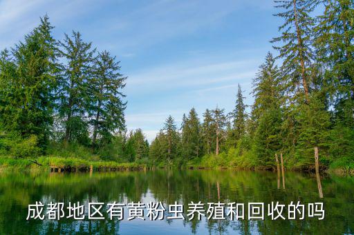 成都市火科技發(fā)展有限公司，成都那家做弱電工程做的好
