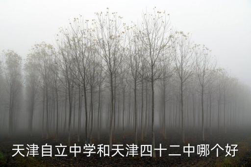 天津自立中學和天津四十二中哪個好