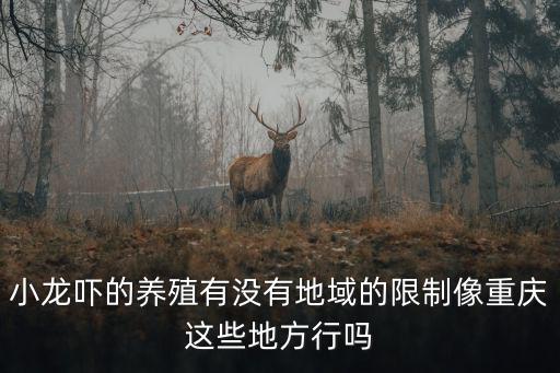 重慶市青山區(qū)小龍蝦養(yǎng)殖場(chǎng)，重慶哪里有龍蝦養(yǎng)殖基地