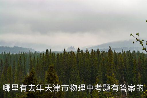 哪里有去年天津市物理中考題有答案的