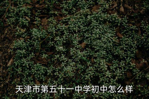 天津市第五十一中學初中怎么樣