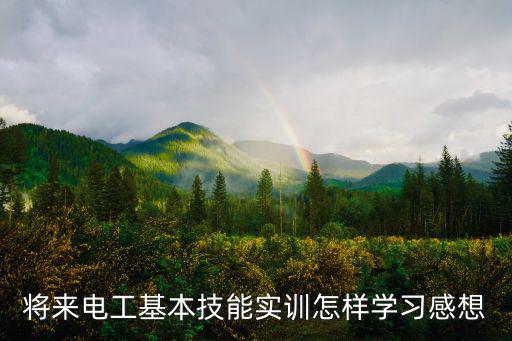 將來電工基本技能實訓(xùn)怎樣學(xué)習(xí)感想