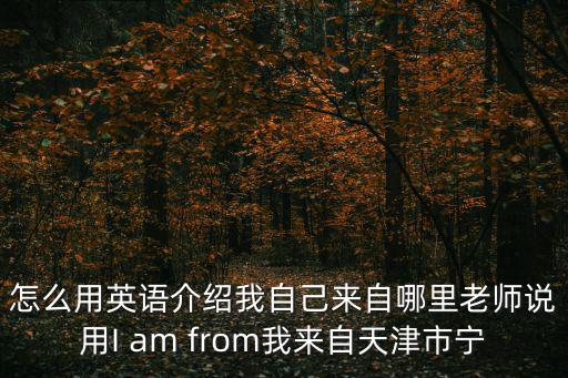 天津市寧河區(qū)興東小學(xué)，興東小學(xué)怎么樣